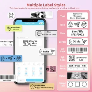 Phomemo Label Maker Machine, D30 Portable Handheld Bluetooth Mini Label Printer, Multiple Templates for Smartphone Thermal Small Label Maker Rechargeable Easy to Use for Home Office