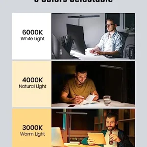 SUPERDANNY LED Desk Lamp for Office Home, Eye-Caring Desk Light with Adjustable Gooseneck, 12W Touch Control Dimmable Brightness, Architect Clamp Lamp with USB Adapter for Reading Study Workbench