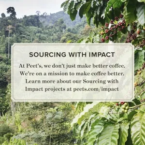 Peet's Coffee, Hazelnut Mocha Light Roast Ground Coffee - 30 Ounces (3 Bags of 10 Ounces)