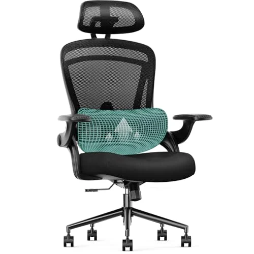 Sweetcrispy Ergonomic Mesh Office Chair, High Back with 2D Headrest, Up&Down Lum