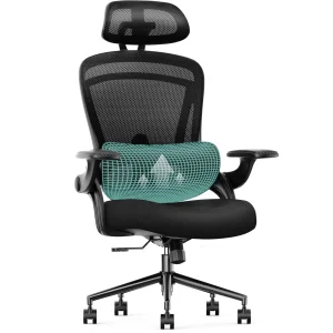 Sweetcrispy Ergonomic Mesh Office Chair, High Back with 2D Headrest, Up&Down Lumbar Support, Swivel Computer Task Desk Chairs with Adjustable Flip-up Armrests, Black