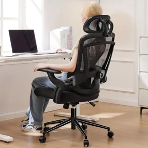 Sweetcrispy Ergonomic Mesh Office Chair, High Back with 2D Headrest, Up&Down Lumbar Support, Swivel Computer Task Desk Chairs with Adjustable Flip-up Armrests, Black