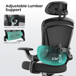 Sweetcrispy Ergonomic Mesh Office Chair, High Back with 2D Headrest, Up&Down Lumbar Support, Swivel Computer Task Desk Chairs with Adjustable Flip-up Armrests, Black