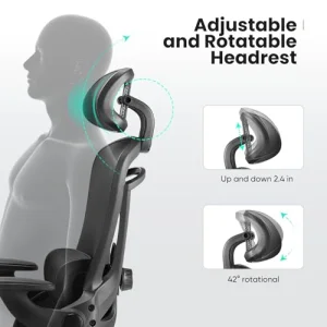 Sweetcrispy Ergonomic Mesh Office Chair, High Back with 2D Headrest, Up&Down Lumbar Support, Swivel Computer Task Desk Chairs with Adjustable Flip-up Armrests, Black