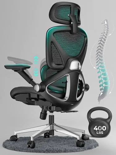 Ergonomic Mesh Office Chair, Adjustable Lumbar High Back Desk Chair 400lbs, 4D F