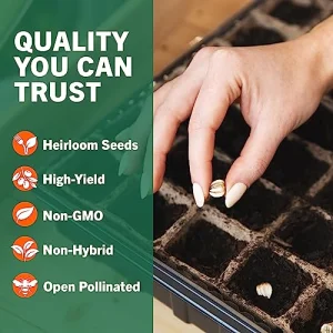 Open Seed Vault 15,000 Non GMO Heirloom Vegetable Seeds for Planting Vegetables and Fruits - 32 Variety Pack of Vegetable Seeds for Gardening, Survival Gear, Seed Vault Emergency Supplies